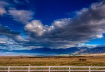 American agriculture needs to deal with climate change cattle and mountains