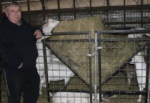Ohio farmers convert former hog farm into intensive goat herd John Barnhart