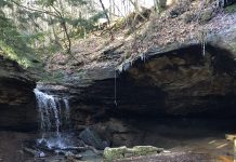 Mineral springs brought guests to Raccoon Creek waterfall