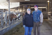 Fourth and fifth generations at Canon Dairy not afraid to try new things Two farmers stand in front of cows in a dairy barn.