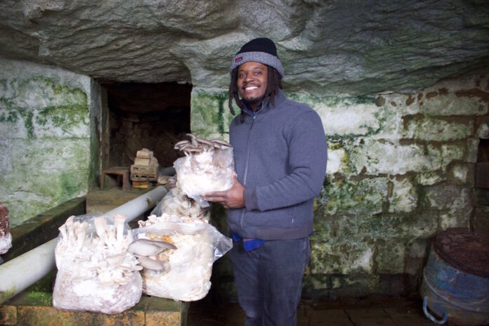 A man holds up a mushrooms growing in an old spring house.