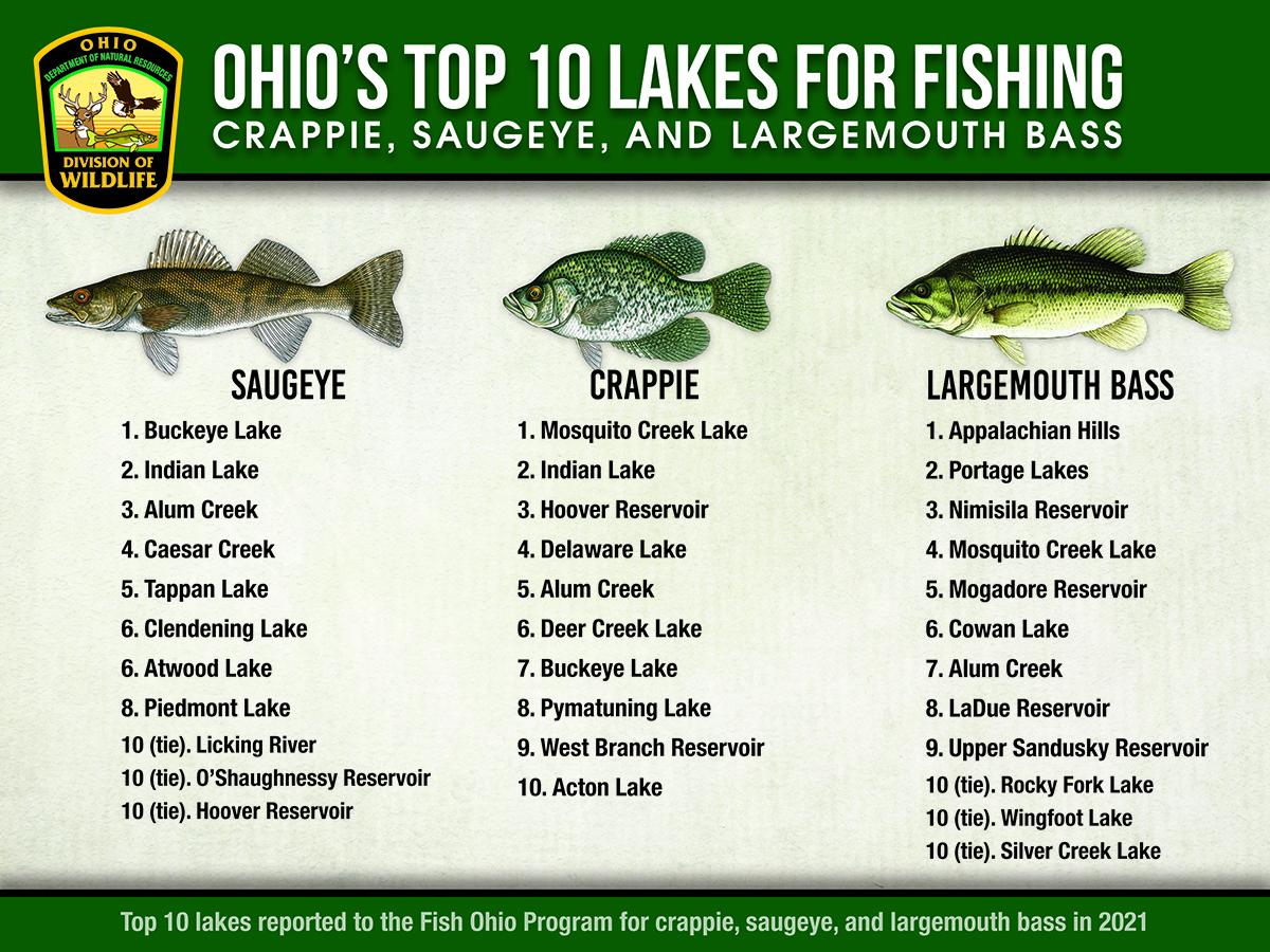 Ohio Fish Identification Guide