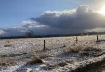 From ranching to records: Finding a season of peace amidst the holiday whirlwind winter