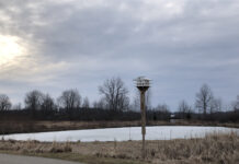 Enjoying a ‘Field of Opportunity’ close to home Walnut Grove