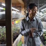 Working in healthy ways keeps occupational therapist going at Purple Skies Farm A woman stands next to seedlings on shelves.