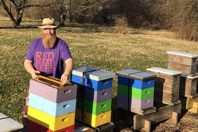 Beekeeper Dave Noble