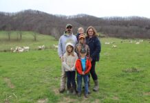 West Virginia dairy transitions to sheep