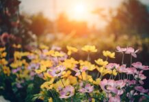 April finally brings warm weather flowers and sun