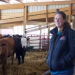 Lack of widespread traceability could cost US cattle farmers, industry A woman stands near cows in a barn