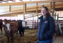 Lack of widespread traceability could cost US cattle farmers, industry A woman stands near cows in a barn