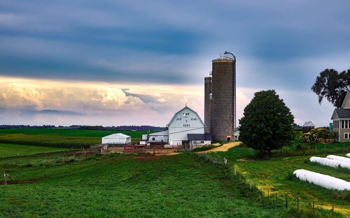 Wisconsin dairy farm