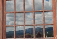 Help birds avoid collisions with windows window