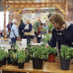 Roundup of gardening news for May 12, 2022 Stark County Master Gardener volunteers