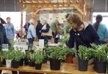 Roundup of gardening news for May 12, 2022 Stark County Master Gardener volunteers