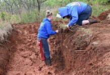 West Virginia FFA and 4-H teams win at national land judging contest