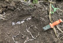 How to test your soil health with a pair of cotton underwear