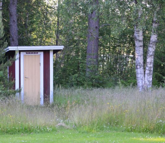 The outhouse climb outhouse