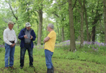 Ancient mounds inspire farm’s preservation efforts Snake Den Mounds complex