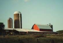 Ohio farm groups, businesses urge reform to address farm labor issues red and white building near green trees during daytime