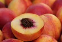 Fuzzy and full of nutrients, peaches are a summertime staple peaches