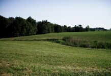 Could carbon markets be a new source of income? Ohio field