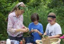 Children learn about agroforestry at Elder Tree Forest School a woman and two children cutting up ingredients for a salad.