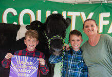 2022 Lake County Fair sale Grand Champion Dairy Beef