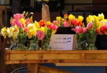 Maston receives 2022 West Virginia Women in Agriculture Award flower cart