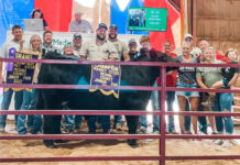 2022 Medina County Fair sale Grand Champion Market Steer