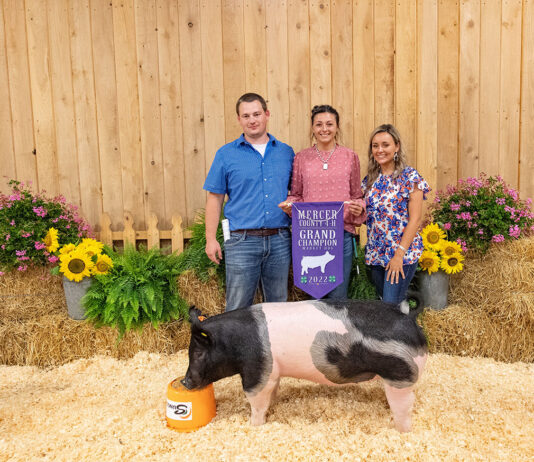 Grand Champion Hog