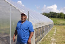 South Side Family Farms explores food justice through farming a man stands next to a high tunnel