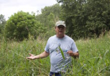 Mathematician Michael O’Neill strives for sustainability with 2022 Tree Farm of the Year A man stands in a field