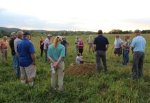 Western Pennsylvania pasture walk shows lessons learned through grazing