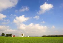 Market prices rebound along with inputs ohio