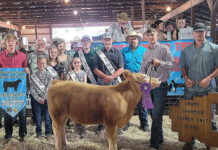 2022 Noble County Fair sale Grand Champion Feeder Calf Steer