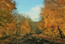 Take the time to enjoy September fall leaves and train tracks