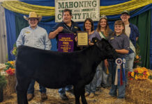 2022 Canfield Fair sale Grand Champion Beef Heifer Feeder