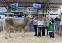 2022 Tuscarawas County Fair sale Grand Champion Dairy Steer