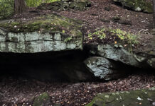 First World problems lead to old favorite Bears Den Run