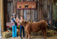 Sale of grand champion steer helps young girl get service dog Grand Champion Feeder Calf Steer