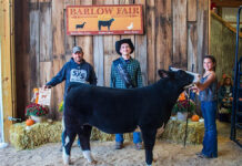 2022 Barlow Independent Fair Sale Grand Champion Feeder Calf Heifer
