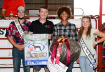 2022 Stark County Fair sale Grand Champion Wool