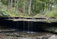 Appreciating the restoration of natural beauty Settlers Cabin Park