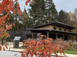 Claridon Woodlands makes for a lovely fall hike Claridon Woodlands
