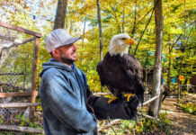 Things with wings Josh Kuszmaul