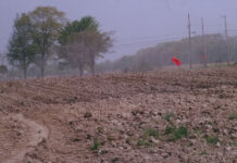 Take advantage of the dry fall lime