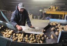 Pennsylvania potato growers celebrate 100 years of cooperation