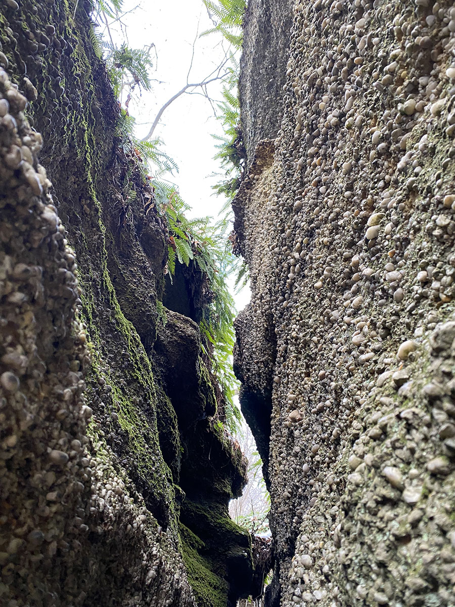 Nelson-Kennedy Ledges State Park