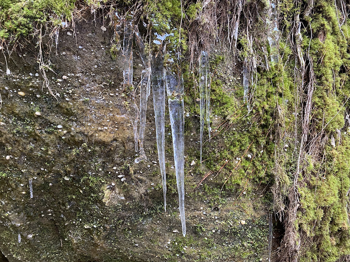 Nelson-Kennedy Ledges State Park