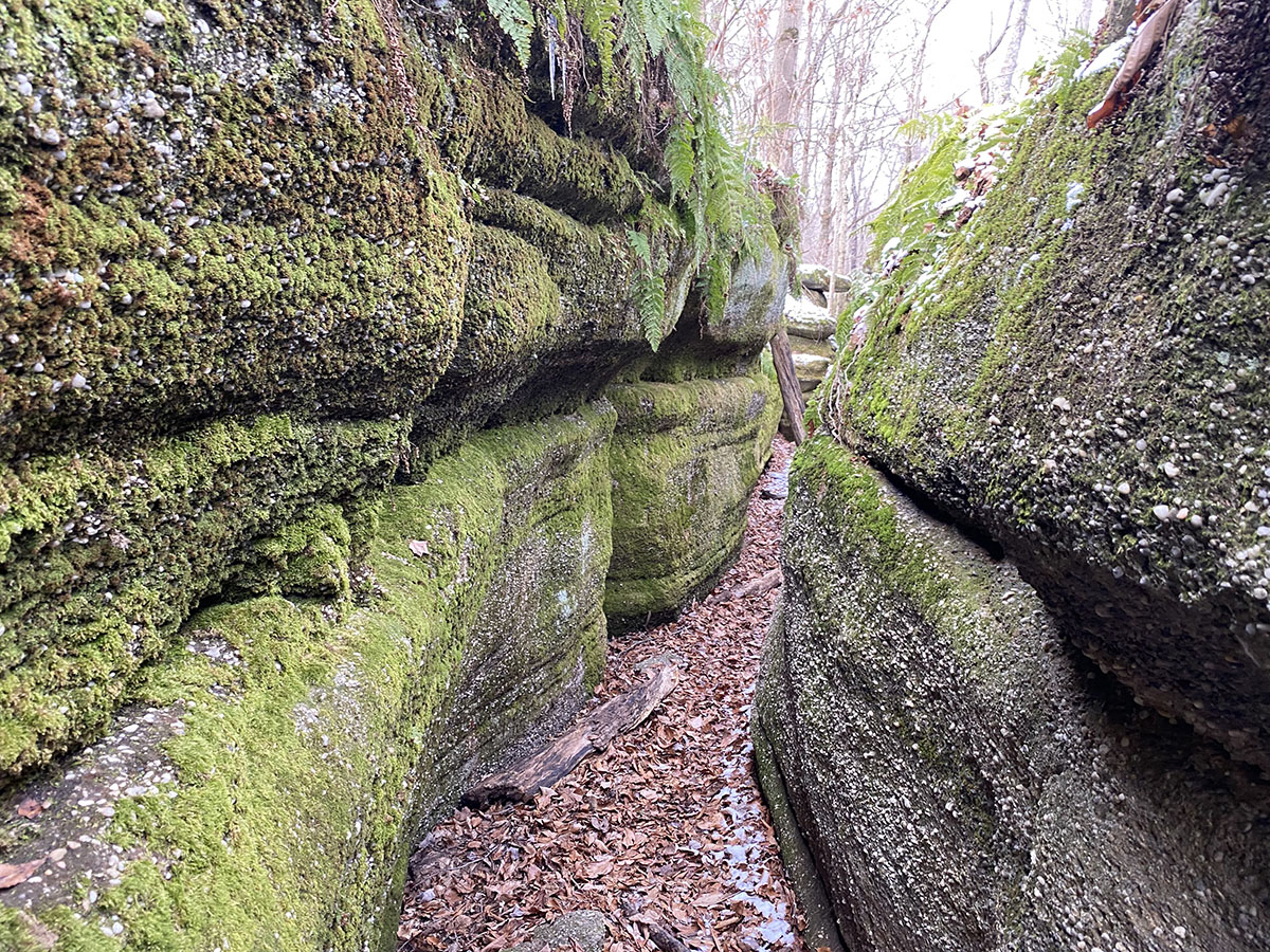 Nelson-Kennedy Ledges State Park